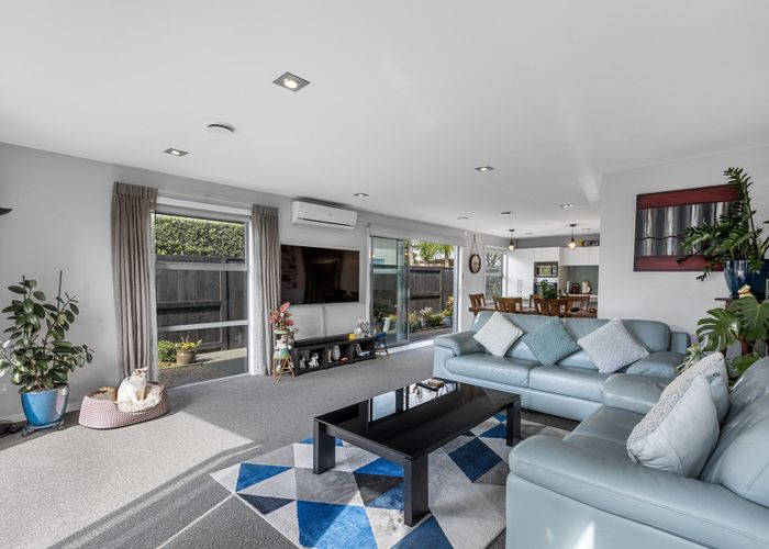  at 15 Aubrey Way, Brookfield, Tauranga, Bay Of Plenty