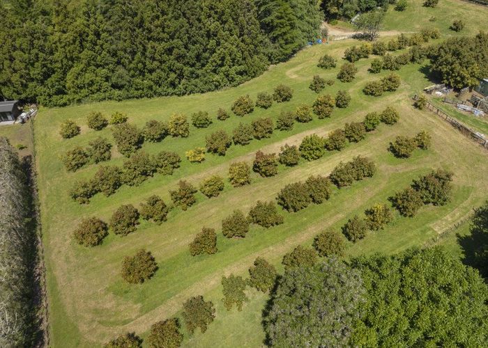  at 99 Maungarangi Road, Paengaroa, Western Bay Of Plenty, Bay Of Plenty
