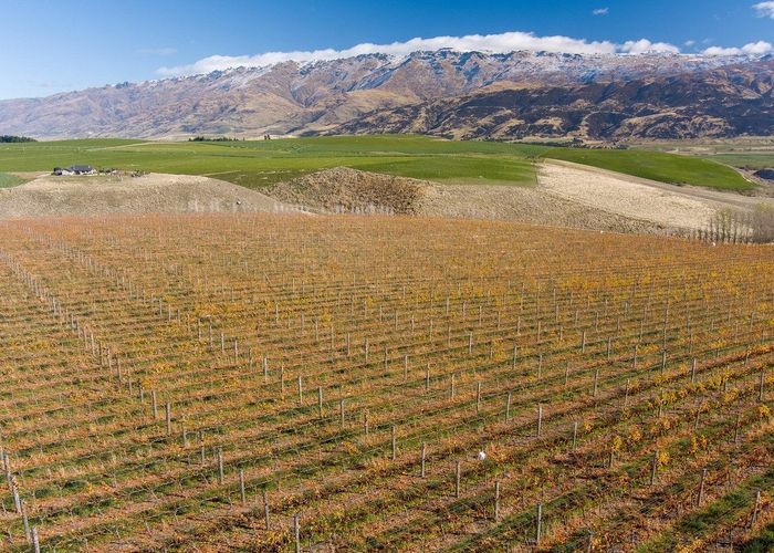  at 76 Ardgour Road, Tarras, Central Otago, Otago