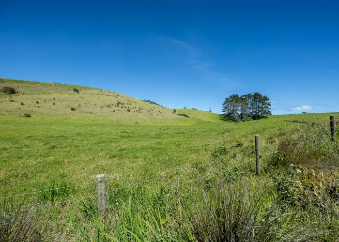  at 42 Redhill Cemetery Road, Te Kopuru, Kaipara, Northland