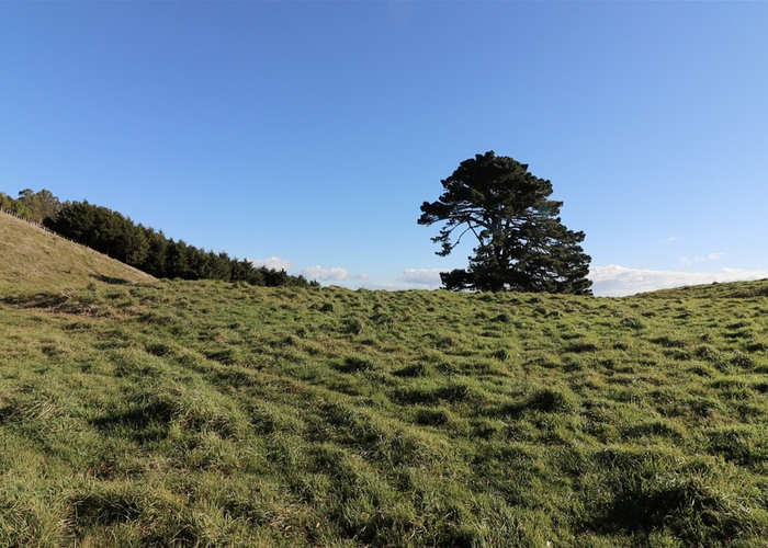  at 104 Highland Drive, Acacia Bay, Taupo