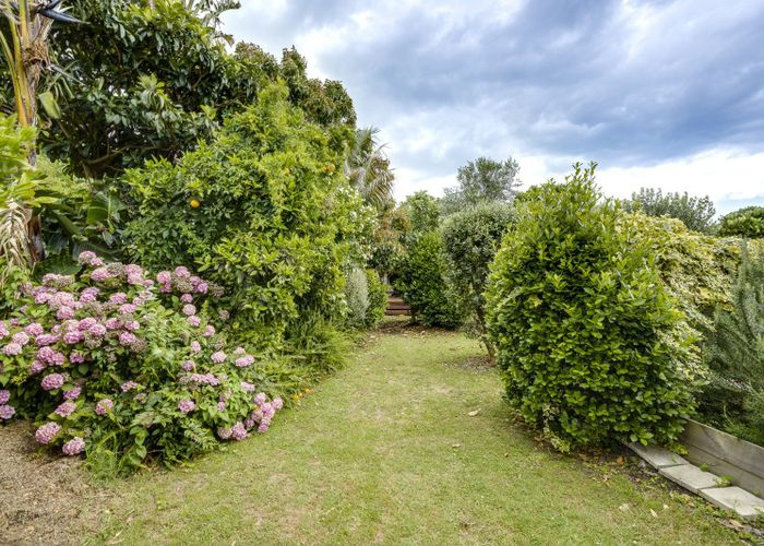  at 6 Hall Street, Napier South, Napier, Hawke's Bay