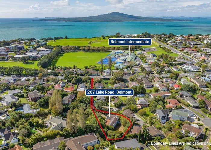  at 207 Lake Road, Belmont, North Shore City, Auckland