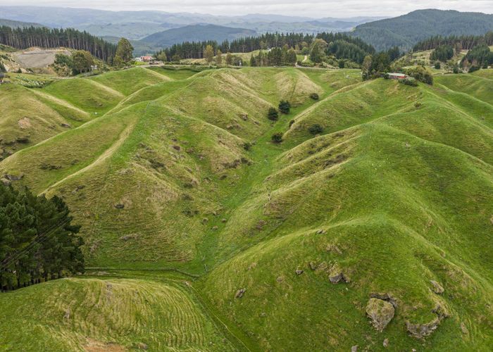  at 81 Kaiwaka Road, Tangoio, Hastings, Hawke's Bay