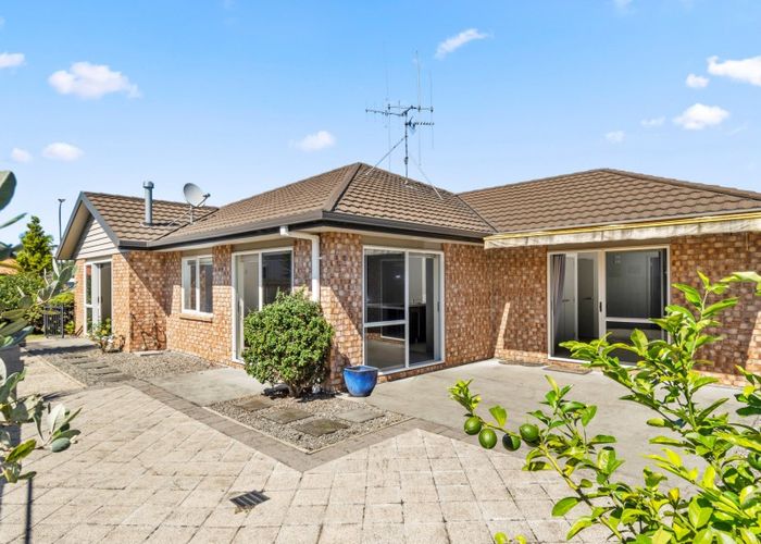  at 97 Millers Road, Brookfield, Tauranga