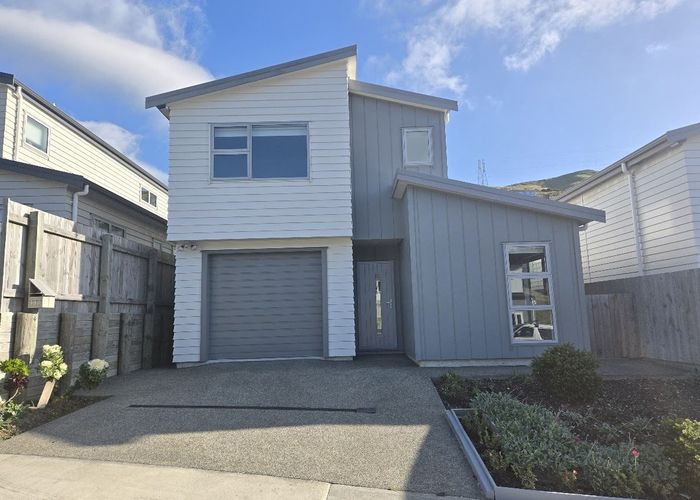  at 133 Amesbury Drive, Churton Park, Wellington, Wellington