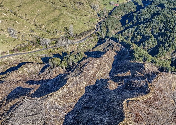  at Lot 1 Oio Road, Owhango, Ruapehu, Manawatu / Whanganui