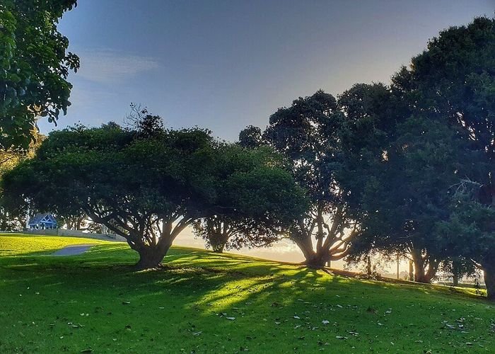  at 2 Rimu Street, Gate Pa, Tauranga, Bay Of Plenty