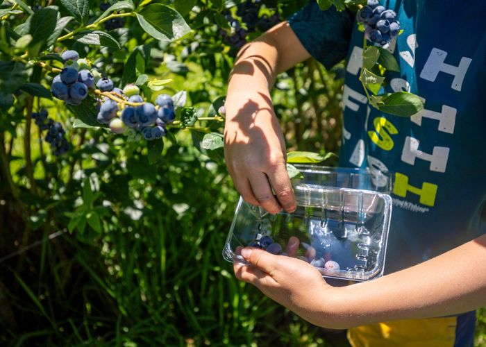  at 160 Tadmor Valley Road, Tapawera, Tasman, Nelson / Tasman