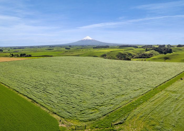  at 0n Mountain Road, Normanby, South Taranaki, Taranaki
