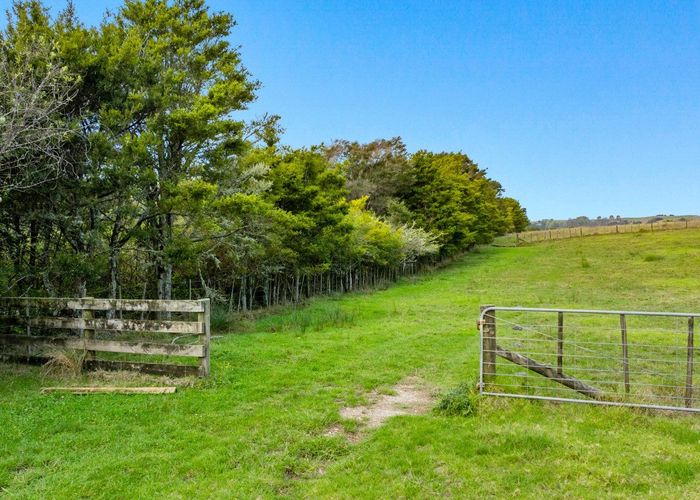  at 704 Whangaripo Valley Road, Whangaripo, Rodney, Auckland