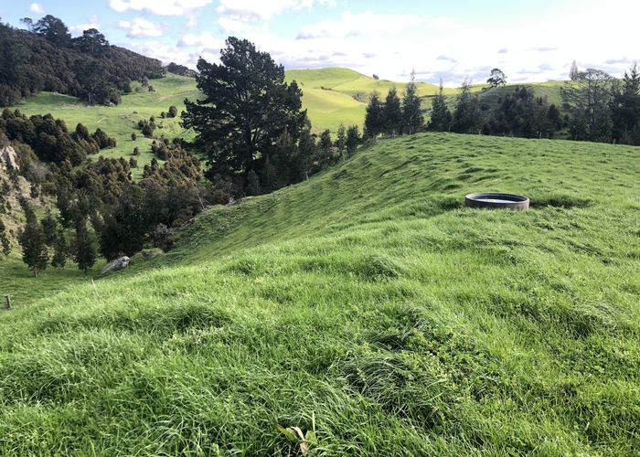 at 428 Whatauri Road, Wharepapa South