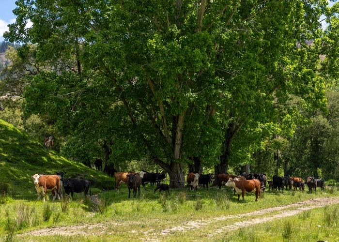  at 281 Tadmor Valley Road, Tapawera, Tasman, Nelson / Tasman