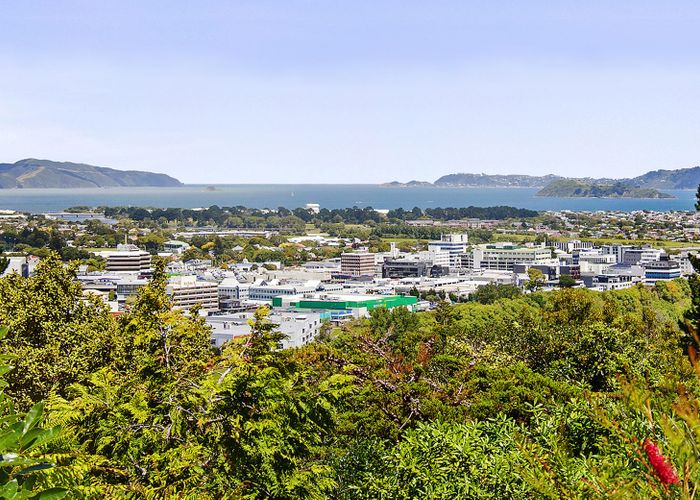  at 55 Pomare Road, Tirohanga, Lower Hutt