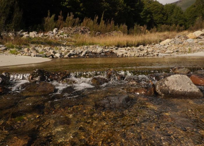  at 30 Borlase Avenue, Saint Arnaud, Tasman, Nelson / Tasman