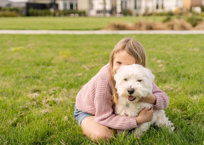  at Lot Superlot 207,, 1491 Springs Road, Lincoln, Selwyn, Canterbury