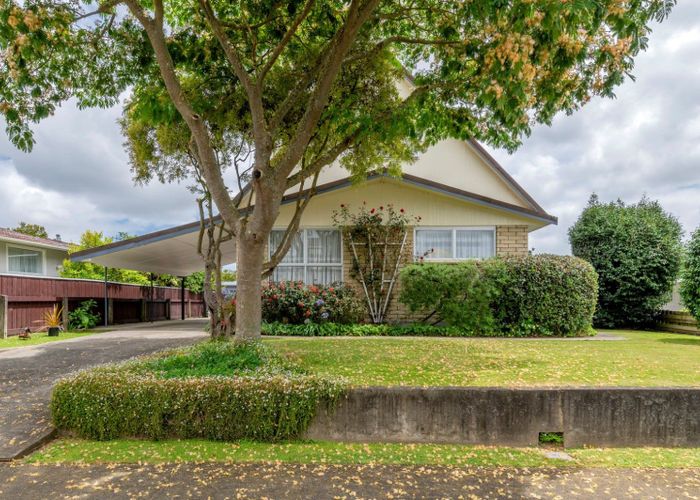 Free property data for 10 Regal Street, Levin homes.co.nz