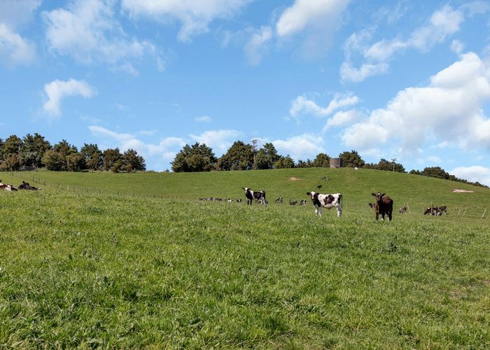  at 0 Knight Road, Ruatangata, Whangarei, Northland