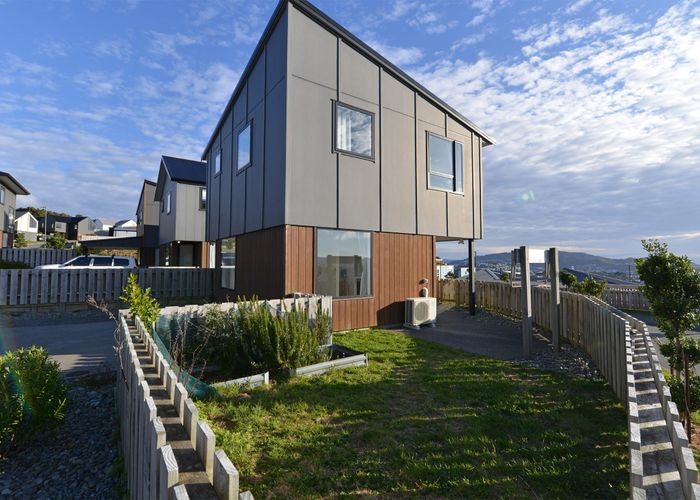  at 4 Astelia Way, Woodridge, Wellington, Wellington