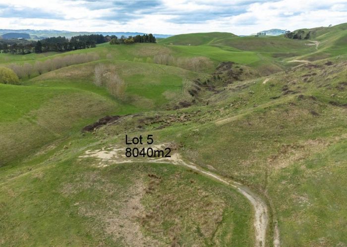  at 133 Pourerere Road, Waipawa, Central Hawke's Bay, Hawke's Bay