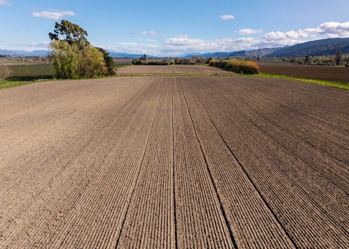  at 150 Selmes Road, Rapaura, Marlborough, Marlborough