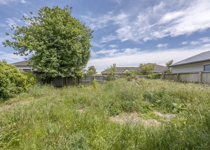  at 137 Clarence Street, Riccarton, Christchurch City, Canterbury