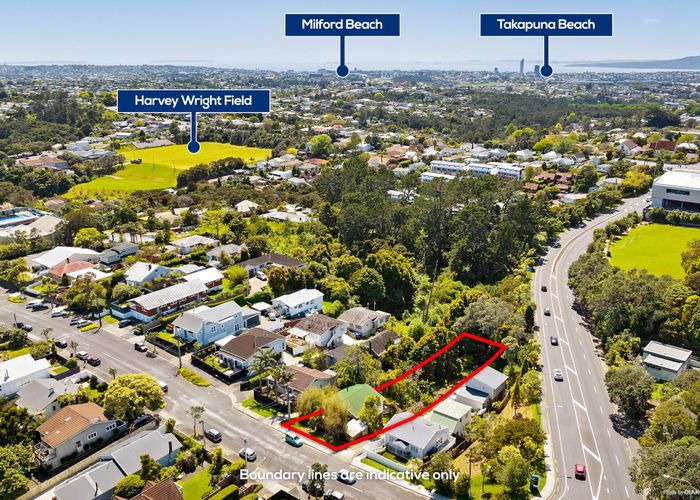  at 19 Mahara Avenue, Birkenhead, Auckland
