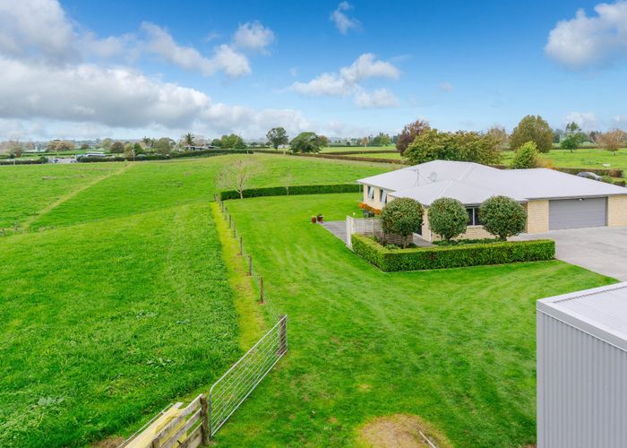 For sale 488 Ryburn Road, Ohaupo, Waipa, Waikato homes.co.nz