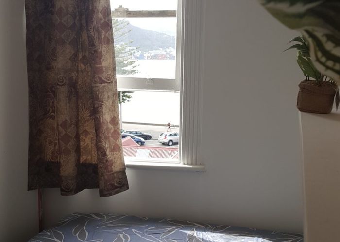  at Oriental Bay, Wellington, Wellington