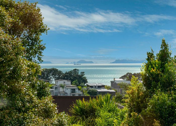  at 91 Braemar Road, Castor Bay, Auckland
