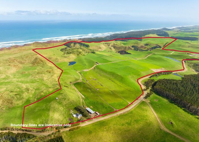For sale 780 Te Maire Road, Te Kopuru, Kaipara, Northland homes.co.nz