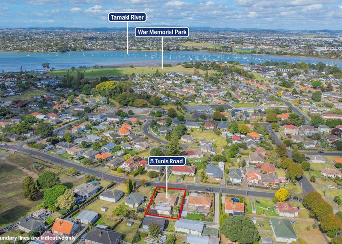  at 5  Tunis Road, Panmure, Auckland City, Auckland