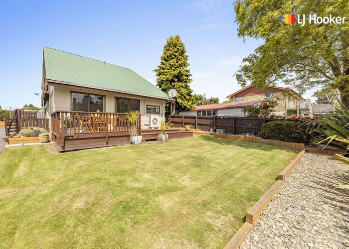  at 203 Dalziel Road, Brockville, Dunedin