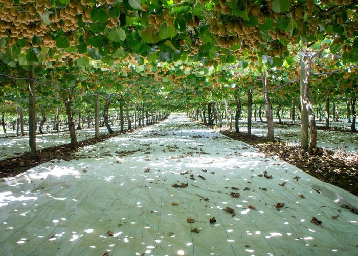  at 2412C State Highway 10, Kerikeri, Far North, Northland