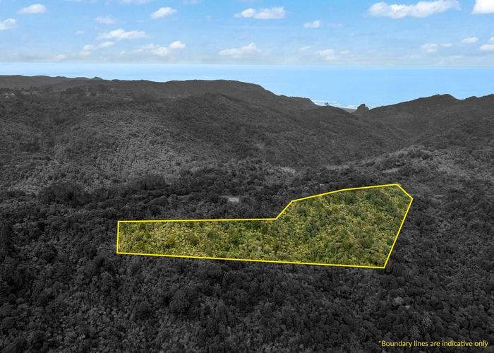  at 233 Piha Road, Piha, Waitakere City, Auckland