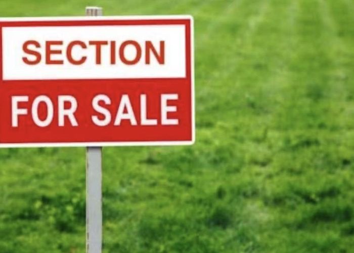  at Lot 79/29 Belfield Road, Papakura, Papakura, Auckland