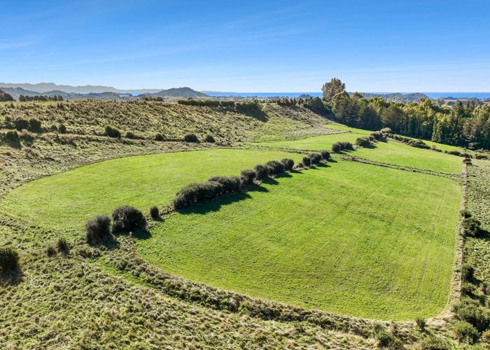  at 333 Packard Road, Takaka, Golden Bay, Tasman, Nelson / Tasman