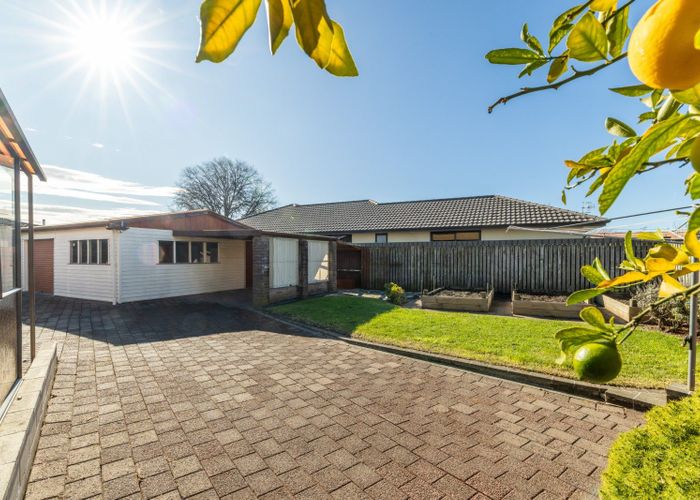  at 16 Palmer Place, Parkvale, Hastings, Hawke's Bay