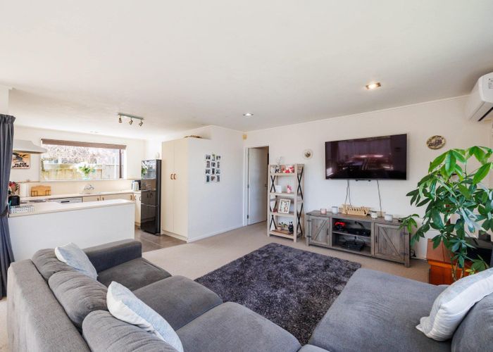  at 237 Vogel Street, Roslyn, Palmerston North