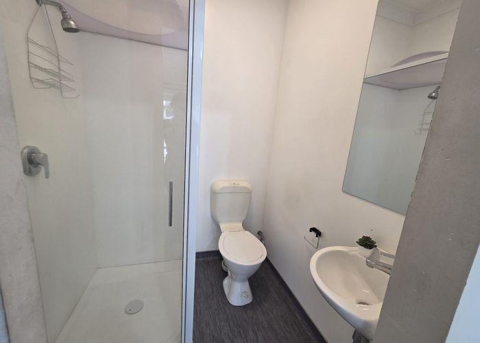  at 3/165 Moxham Ave, Hataitai, Wellington, Wellington