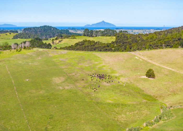  at Lot 4 Shieling Road, Waipu, Whangarei, Northland