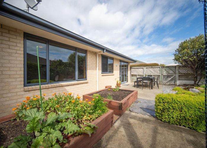  at 4 Bella Grove Way, The Wood, Nelson