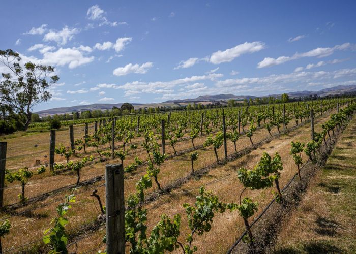  at 220 Omihi Road, Waipara, Hurunui, Canterbury