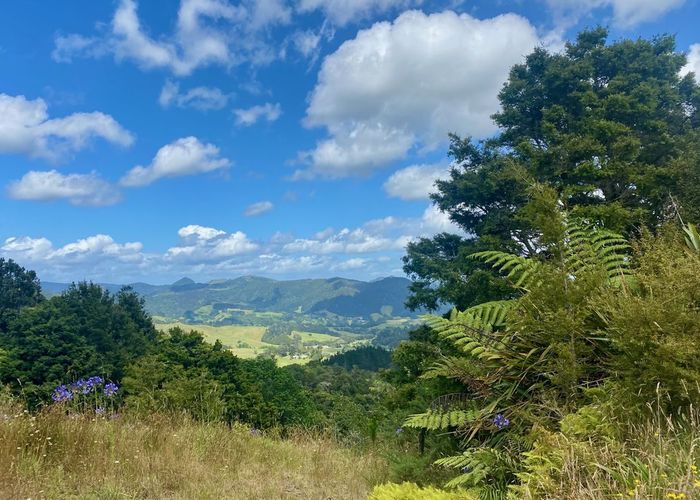 at 29 Whakaire Taraire, Kaeo, Far North, Northland