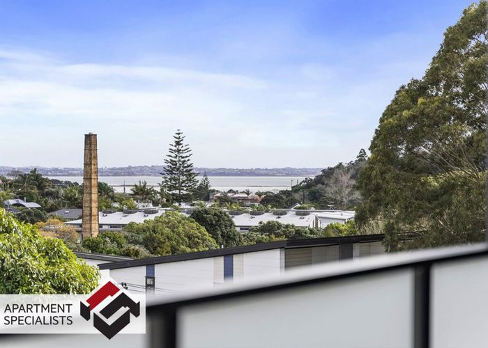 at 250 Richmond Road, Grey Lynn, Auckland City, Auckland
