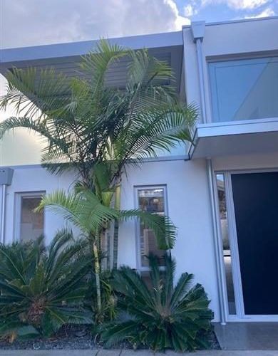  at 26 Melanesia Road, Kohimarama, Auckland