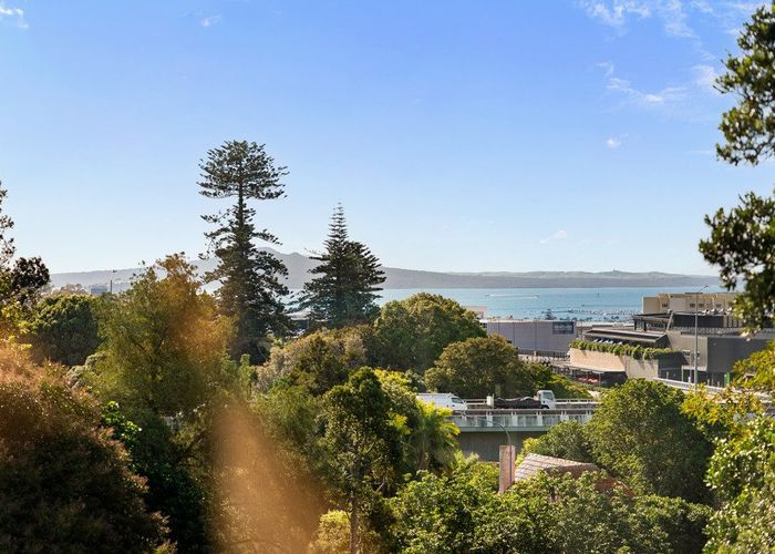  at 3/35 Almorah Road, Epsom, Auckland City, Auckland