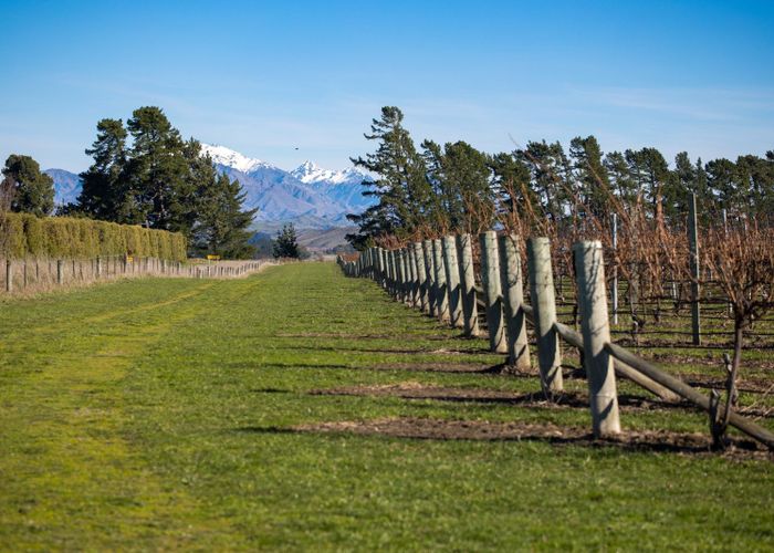  at 592 Awatere Valley Road, Awatere Valley, Marlborough, Marlborough