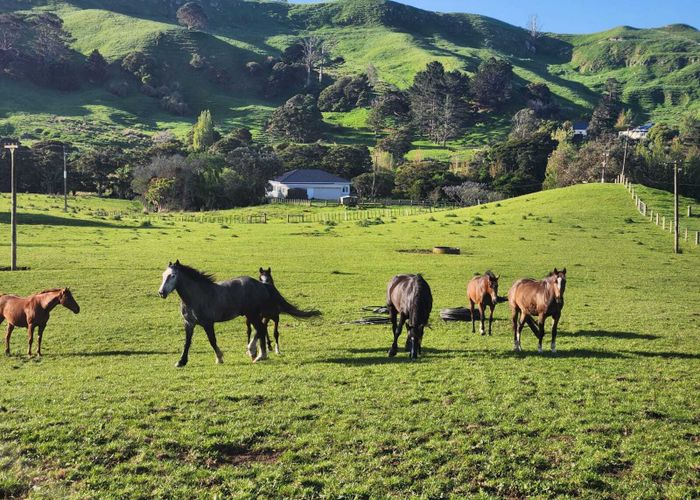  at 899 Te Akau Road, Te Akau, Waikato, Waikato