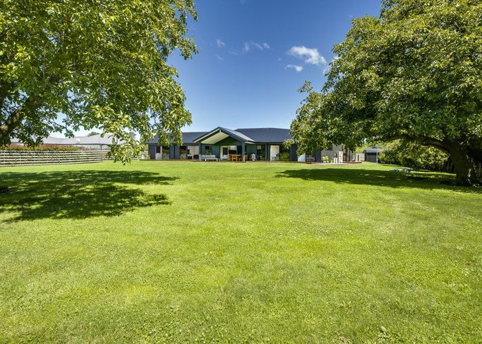  at 252 Meeanee Road, Meeanee, Napier, Hawke's Bay